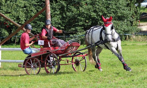 14021634_565768420291045_5688897339165534883_n