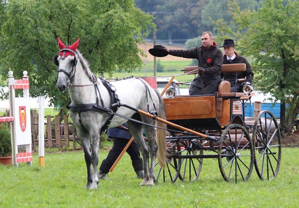 14034910_565768600291027_5966960749721531732_n