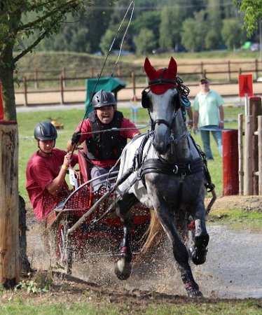 14046010_565768586957695_4457791647659362454_n