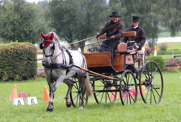 14051804_565768650291022_7643798740465659959_n