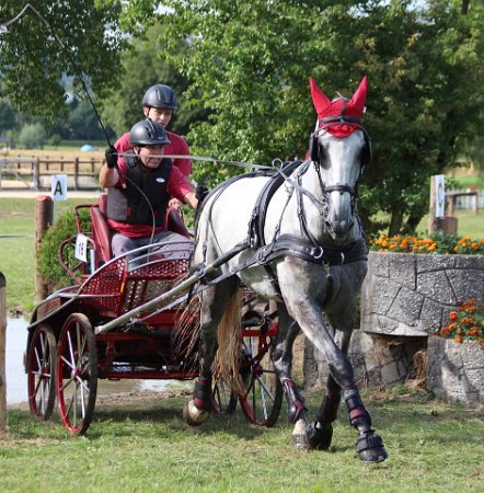 14055113_565768566957697_4612832265002666876_n