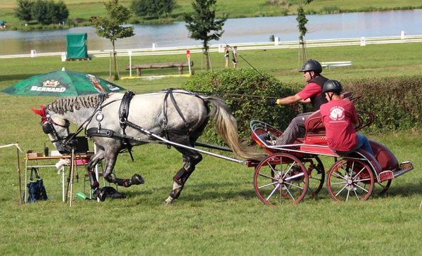 14067661_565768493624371_1924772232229836372_n