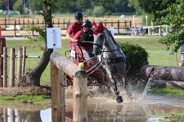 14080020_565768413624379_479738791674398305_n