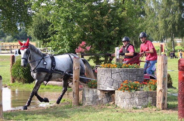 14080054_565768546957699_5120735606165808316_n