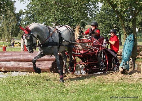 21078676_743080715895374_2857447400138084077_n