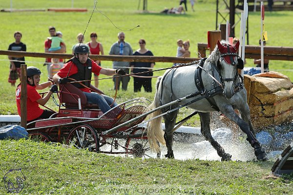 2682017-finale-zlata-podkova-maraton-21729