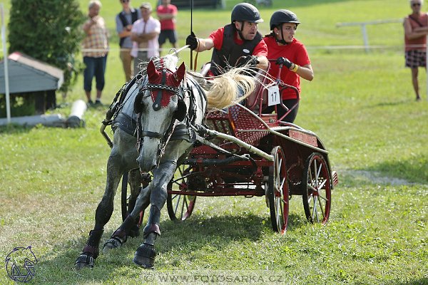 2682017-finale-zlata-podkova-maraton-21730