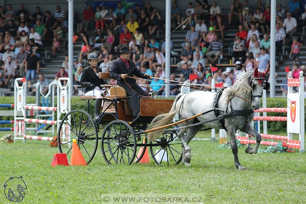 2782017-finale-zlata-podkova-parkur-21866