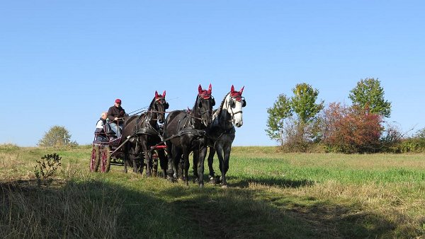 12049187_462218560646032_3698331990362524771_n