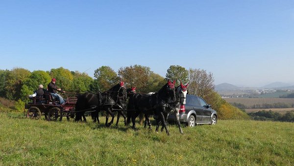 12065948_462218570646031_2304630257153625646_n