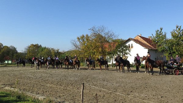 12105806_462218520646036_4288565976143680325_n