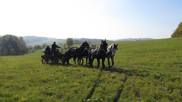 12107031_462218567312698_2912924881242906449_n