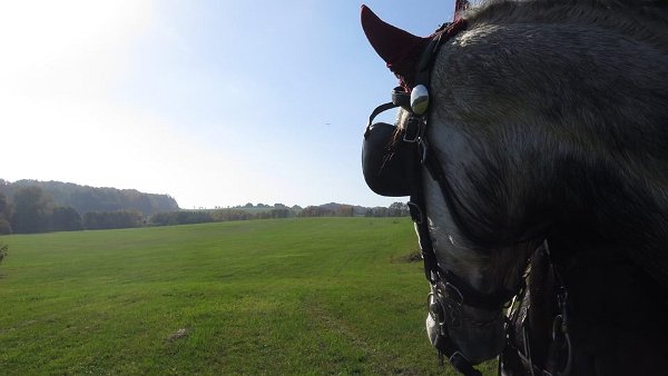 12190863_462218637312691_146623590692810253_n