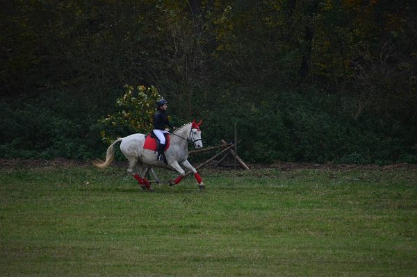 23132122_761312054070013_848921567300538394_n