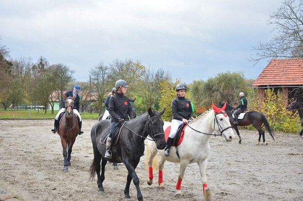 23231475_761312250736660_8147151366284975502_n