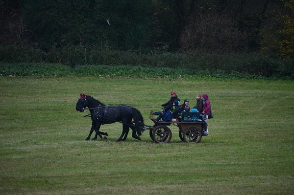 23231517_761312104070008_423196860533344618_n