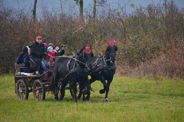 23243998_761312044070014_4013903442099803012_n