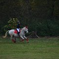hubertova-jizda-bernartice-nad-odrou-28-10-2017