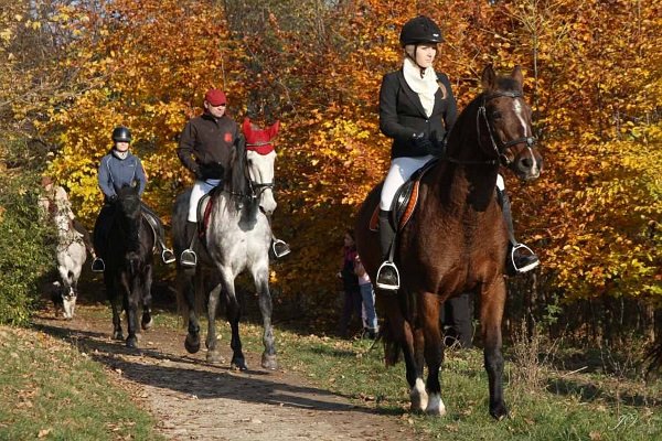 12065870_463467833854438_2219013456481497094_n