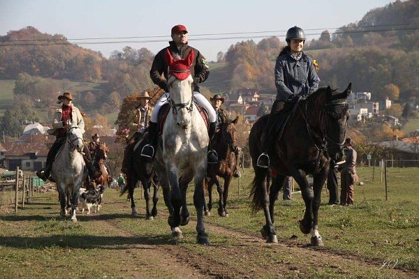 12189161_463467610521127_6880008907448628915_n