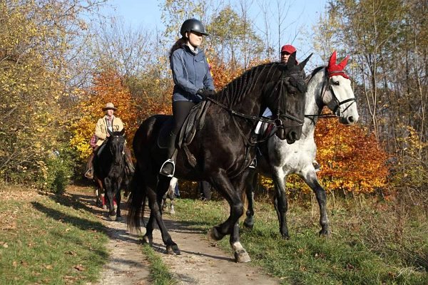 12189554_463467820521106_1731359760527671841_n