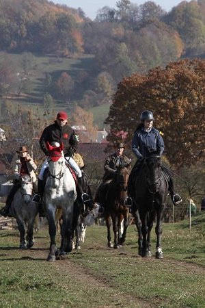 12190080_463467073854514_3984053468953677373_n