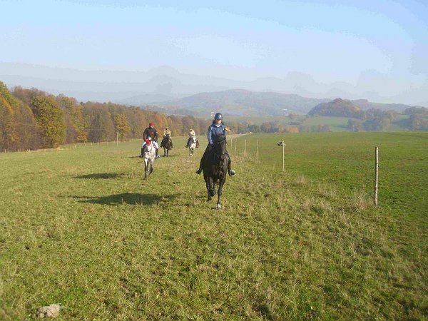 1794596_463467830521105_1040985750897616158_n