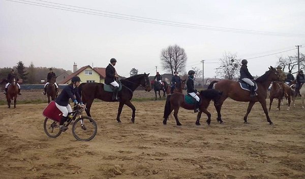 12108241_465960340271854_4816403342583298665_n