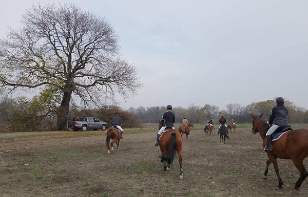 12195753_465960350271853_2293205808138149588_n