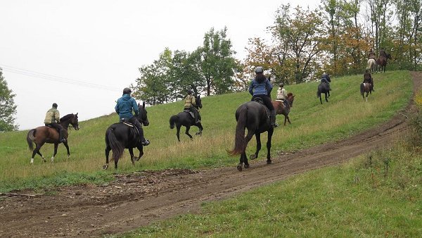 10440995_458903067644248_536299037016871916_n