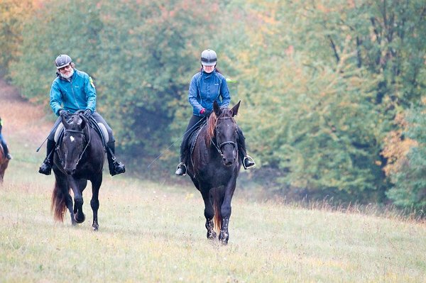 11230033_458902930977595_4941137779320272102_n