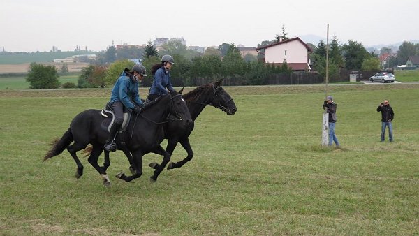 12074949_458902844310937_6765922459032904161_n