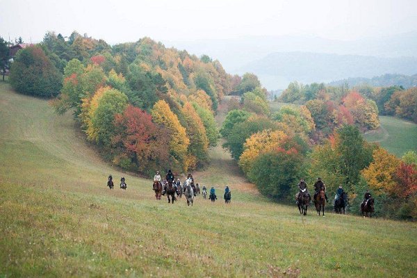 12079137_458903210977567_3596941438702899460_n