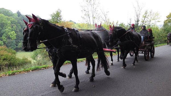 12096160_458902994310922_2000529385843944579_n