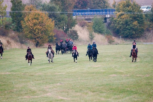 12107054_458903380977550_931710090736086992_n