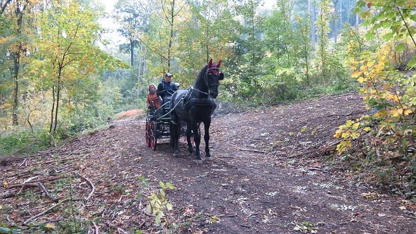 12122700_458903014310920_4298611692074837481_n