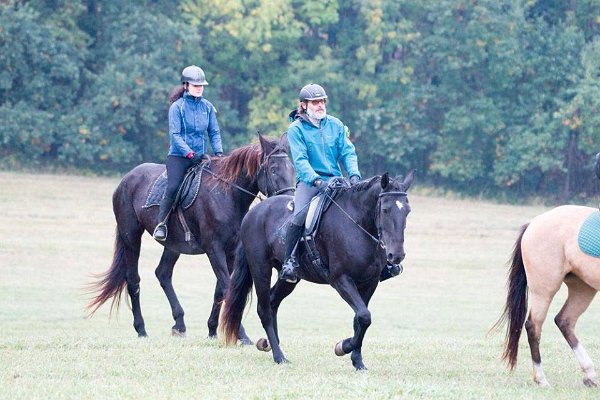 12140601_458903170977571_612335013551318167_n