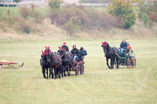 12141504_458902527644302_712768135503694595_n