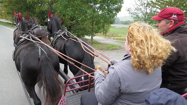 12144843_458903147644240_1103810751174240854_n