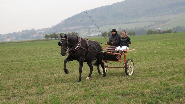 1781893_458902920977596_3019627897414651179_n