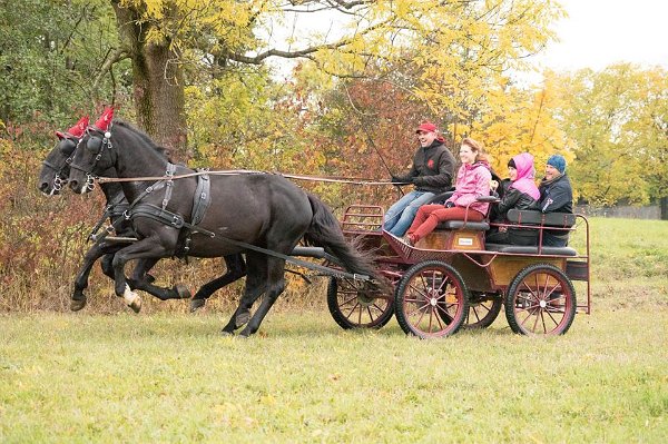 10312683_460868027447752_1172691147740558075_n