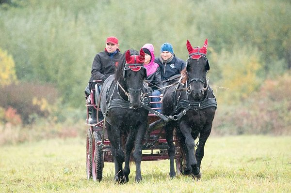 10676277_460868057447749_3374805351204278249_n