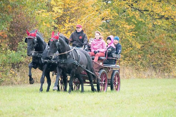 12109109_460868037447751_9090263821711151304_n