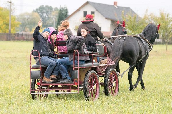 12112420_460868077447747_8061658831222123842_n