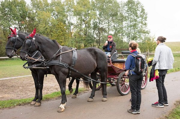 12140600_460868110781077_5368729486344899063_n