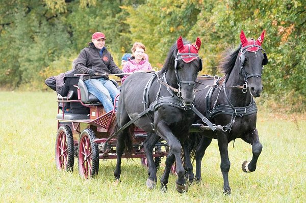 12141702_460867790781109_4266069423878194454_n