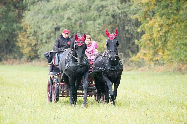 12143206_460868020781086_8172795423151967915_n