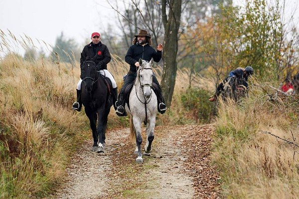 22789208_758121491055736_1415303109307144804_n