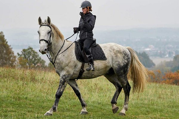 22814267_758121454389073_6585578075278266829_n