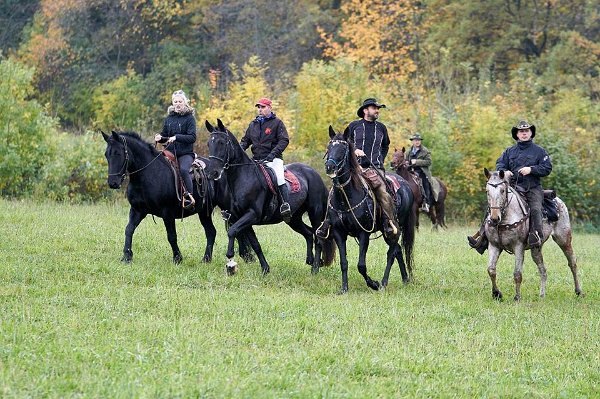 22814542_758121537722398_273545800662730296_n